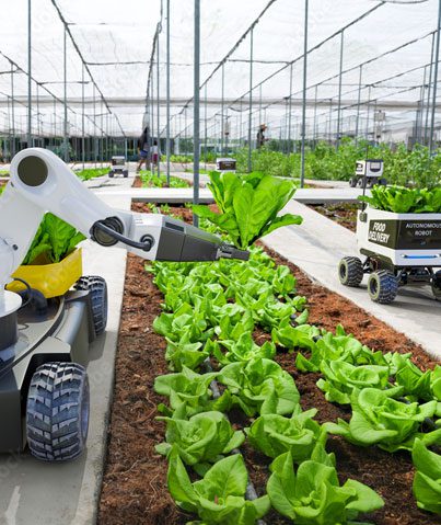 Robots gardening